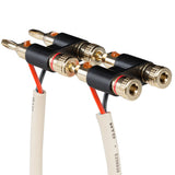 CBL-BN2 Dual Banana Plug