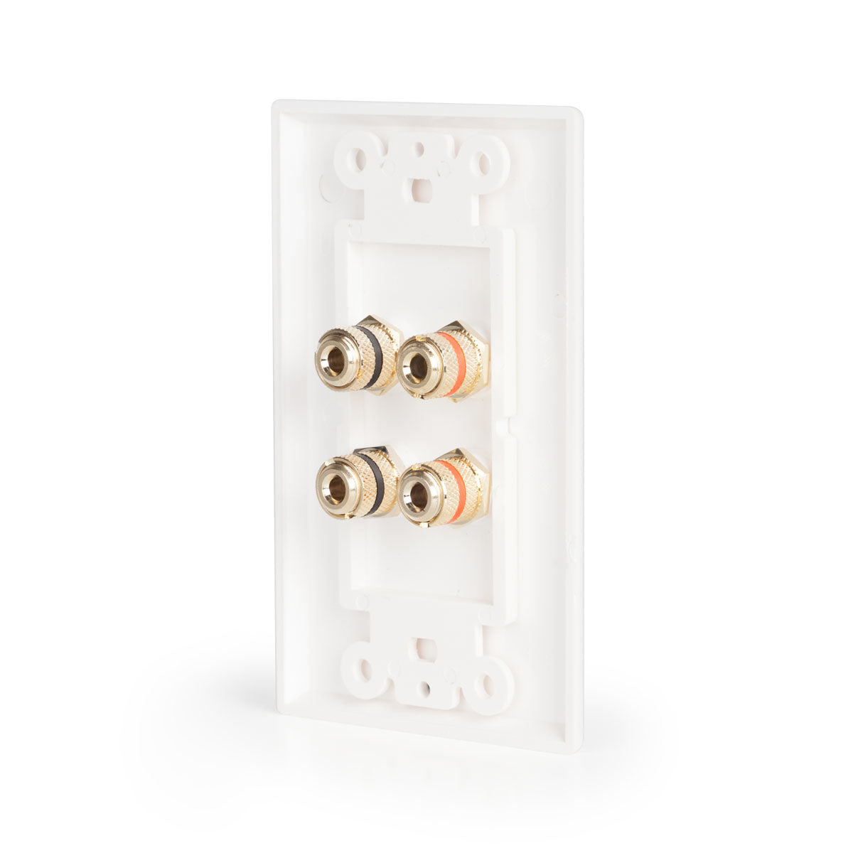 CBL-BP2 Plate with 2 pair of Binding Posts