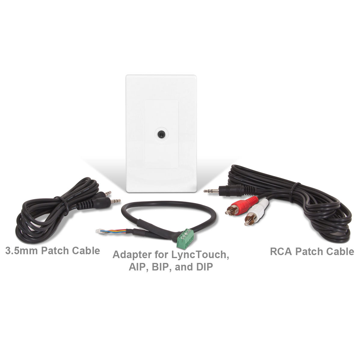 Lync Source Input Panel (SIP)