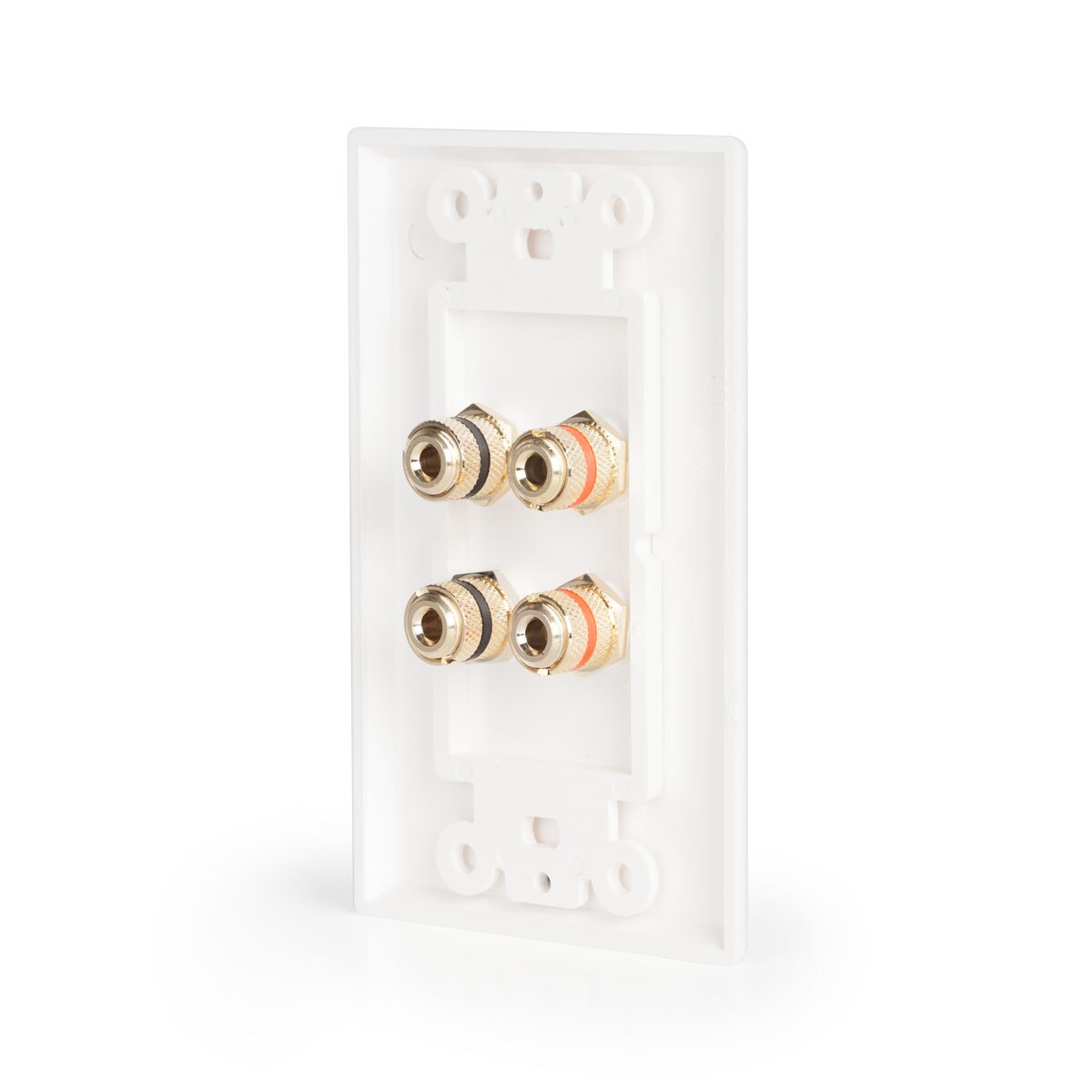 Dual Binding Post Wall Plate