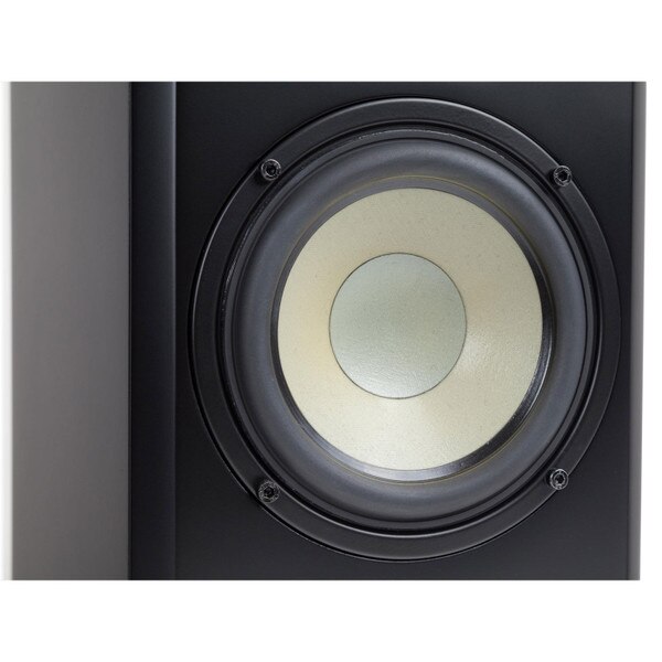 Level Two Bookshelf Cabinet Speaker - black - Close-up of driver